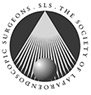 The Society of laproendoscopy surgeons